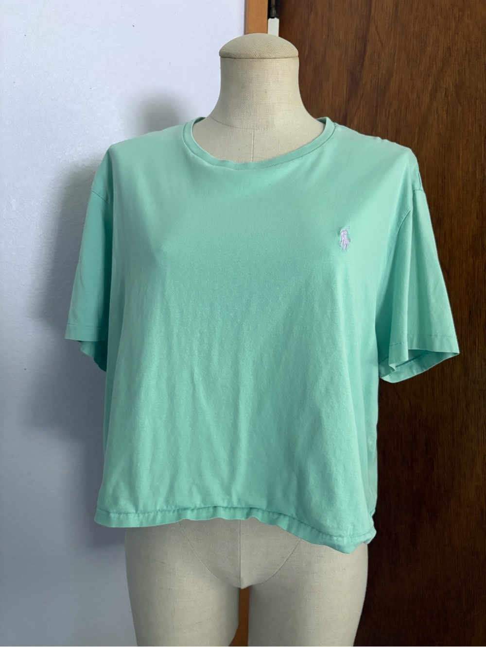 POLO RALPH LAUREN sz M DIY Mint Green Crop Tee Top